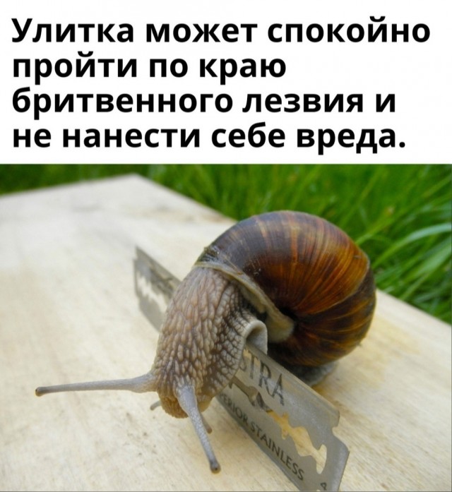 Так себе картинки 04.11.21