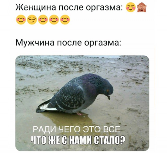 Весёлый полтишок 08.12
