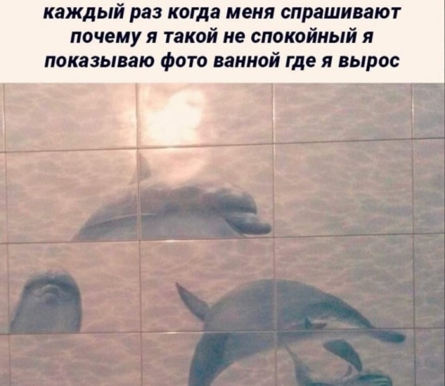 Так себе картинки 26.12.21