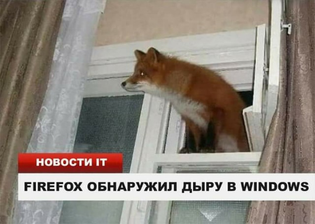 Картинки и мемы для настроения  - 27
