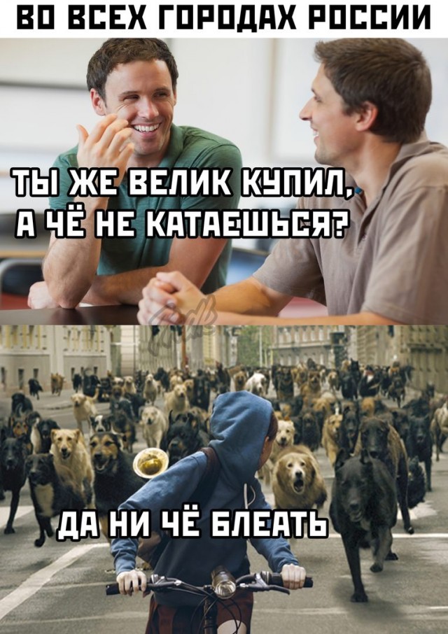 Весёлый полтишок 03.02