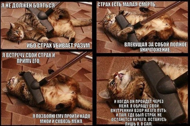Не зассал