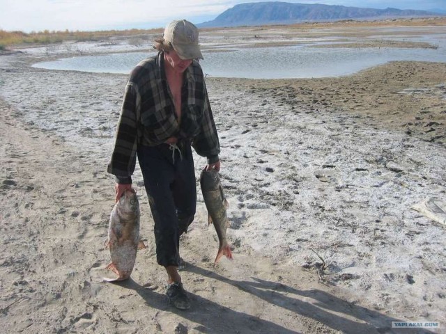 Рыбалка в горах. Плато Ассы.