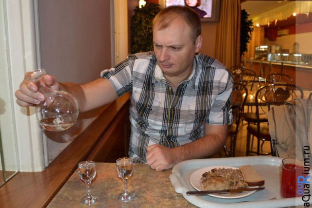 СПб глазами уставшего туриста...