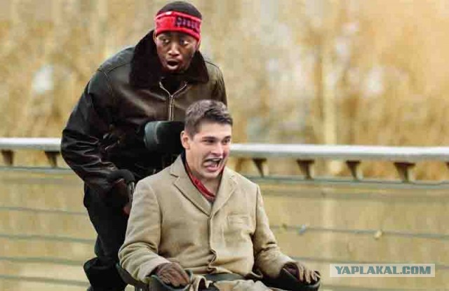 Фотожаба: "Кренделя"