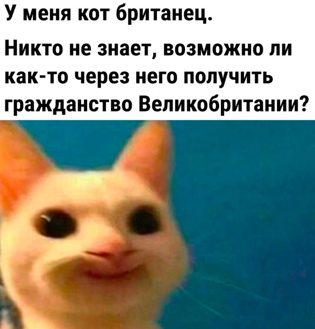 Так себе картинки 04.01.23
