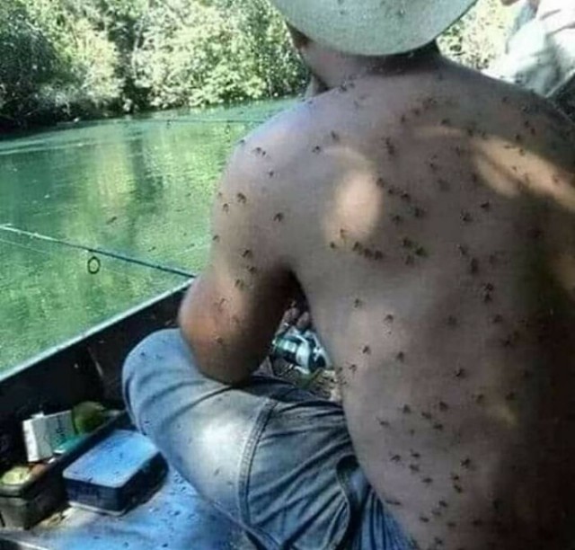 И так бывает