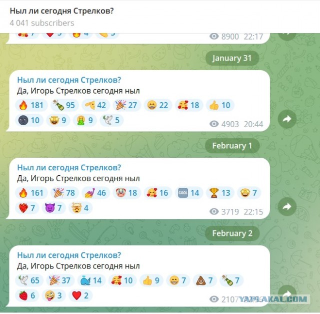 Стрелков негодует!