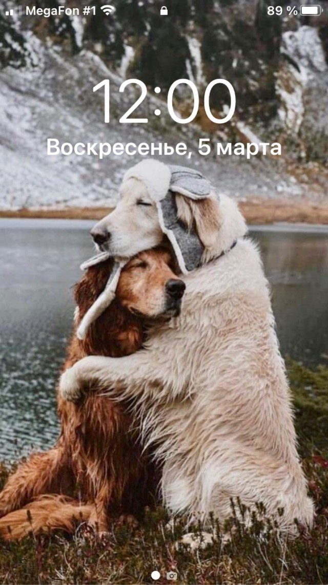 У кого какие обои на телефоне