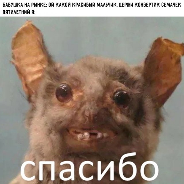 Картинки и мемы, это май-чародей всяко разно - 177