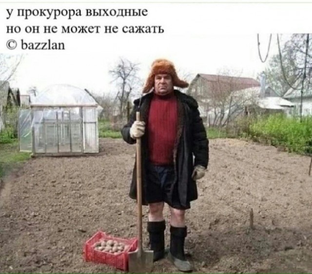 Я тёща. Проблемы с зятем. Дайте совет
