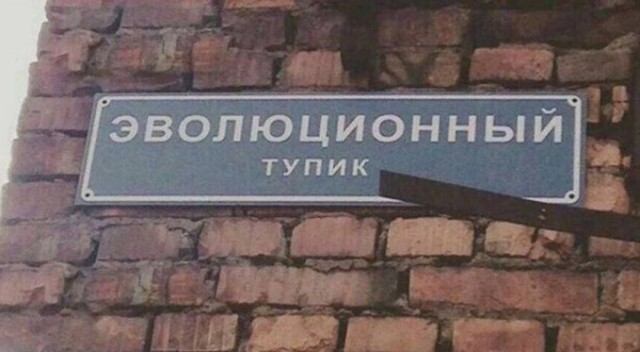 Средненедельная ХНЯ