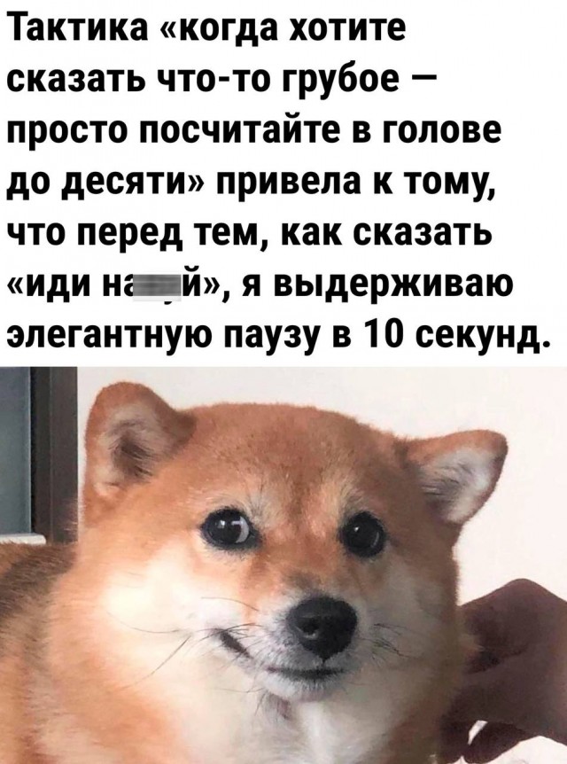 Улыбательные картинки разной степени свежести