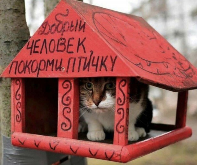 Мощный наезд на городских женщин от женщины из деревни