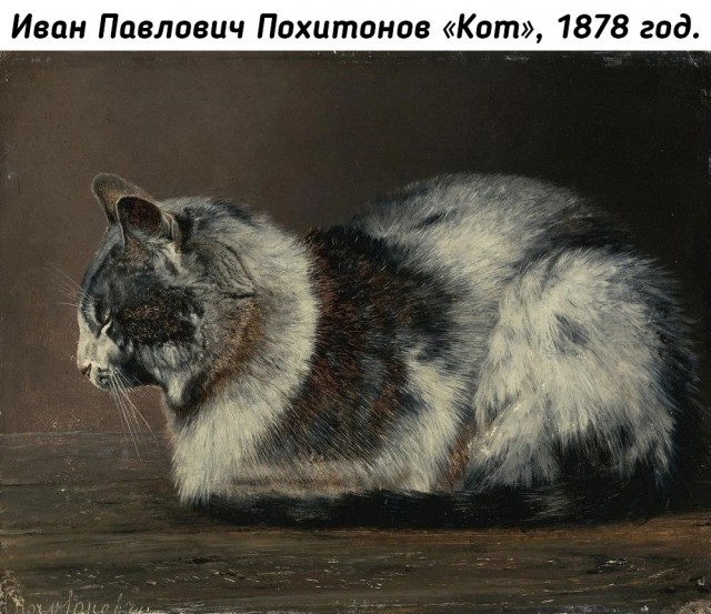 Небольшая подборка истрических фото (04.03)