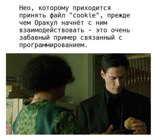 Прикольные и просто красивые картинки 16.08.2024