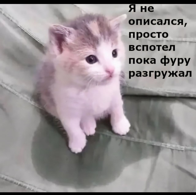 Концерт для единственного фаната