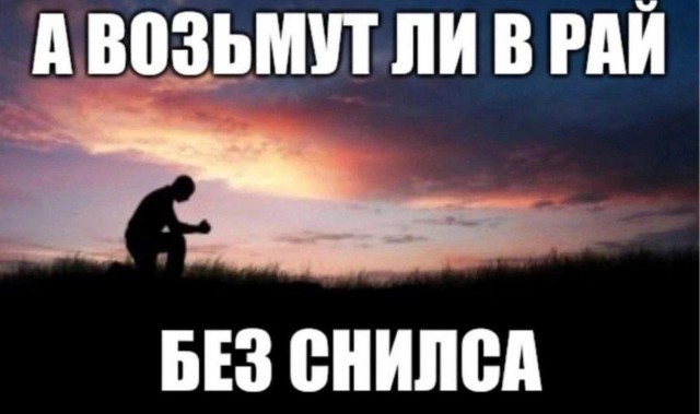 Немного забавных картинок от 11.09.2024