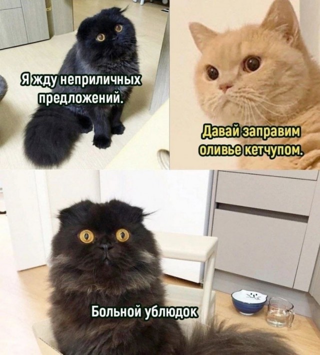 Нуштош 14.01.2025. Теперь ждем лета (s3e2)