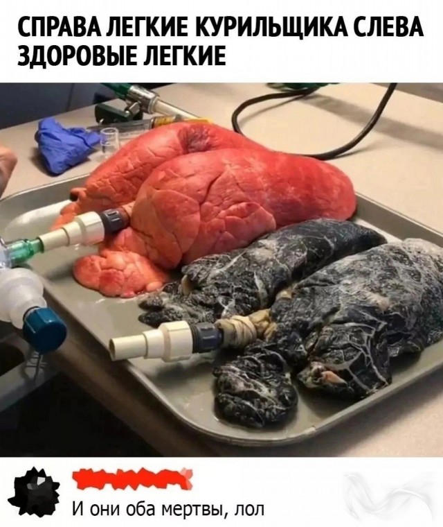 Картинки про юмор