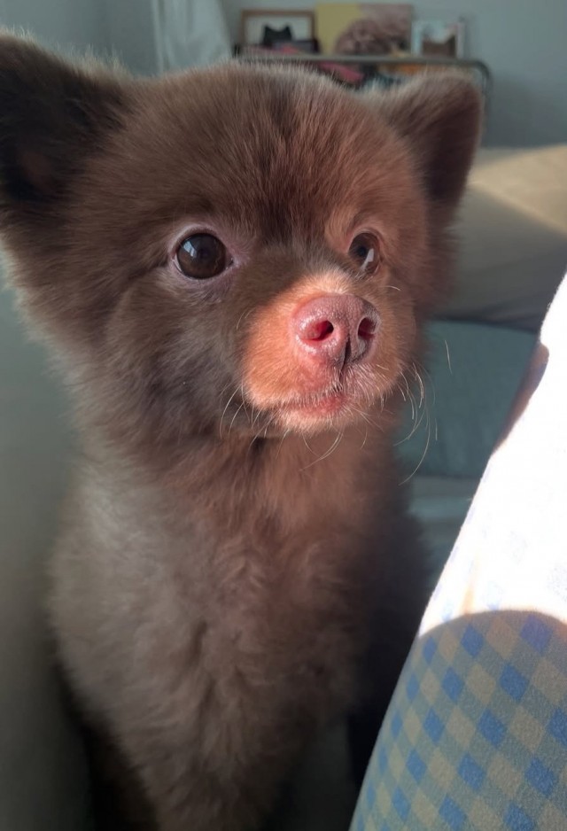 Солнце любят все!