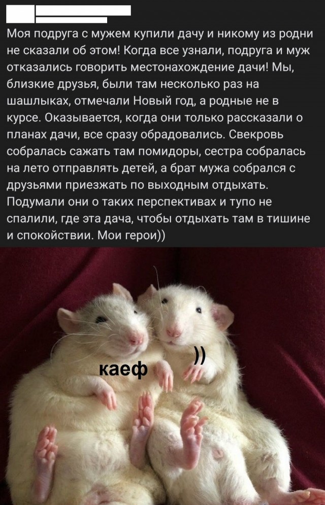 Так себе картинки 20.07.25