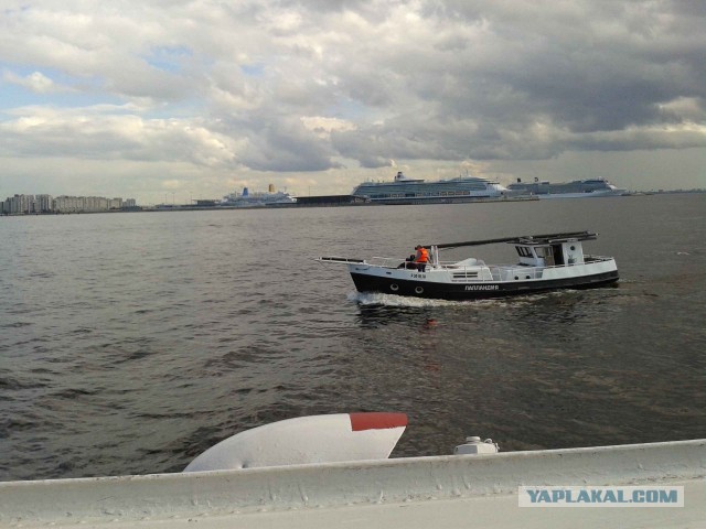 Настоящим жителям С.Пб.