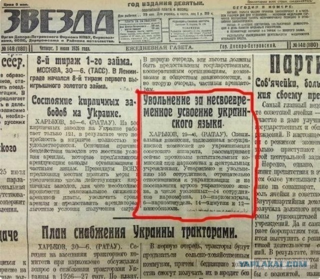 Так себе картинки 11.11.25