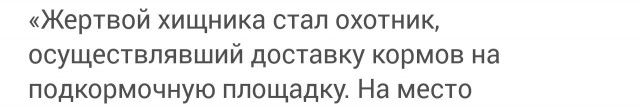 2026. Счёт жертв тигров открыт.