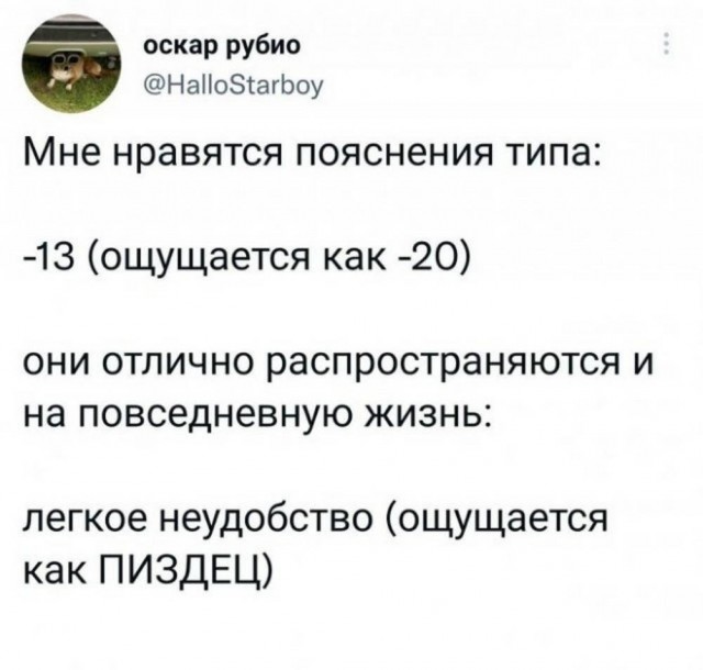 Веселые картинки в маленькую пятницу (04.03)