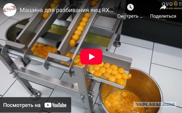 Завод по производству ломаной скорлупы