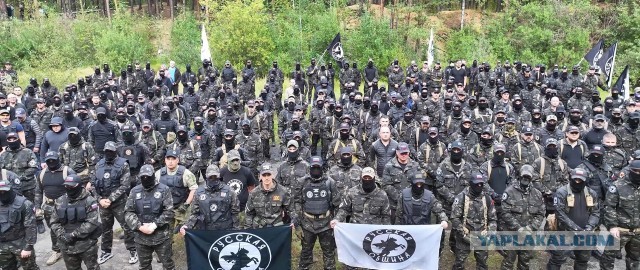 В Нижнем Новгороде неизвестный в маске ударил парня исподтишка и отправил его в нокаут