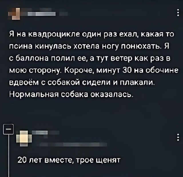 Картиночки, баянчики 15 июня