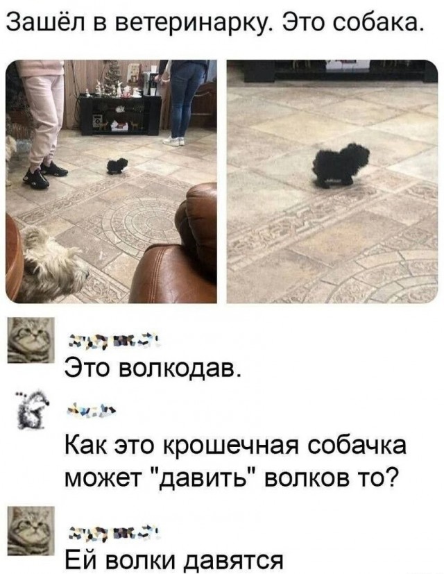 Так себе картинки 27.06.26