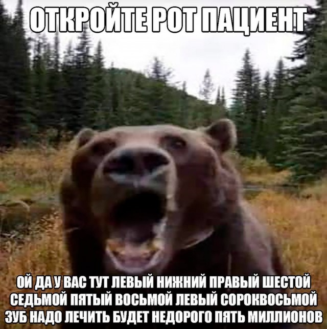 Так себе картинки 25.08.26