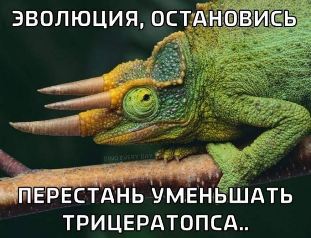Картинки для деградации 285 (разной степени свежести)