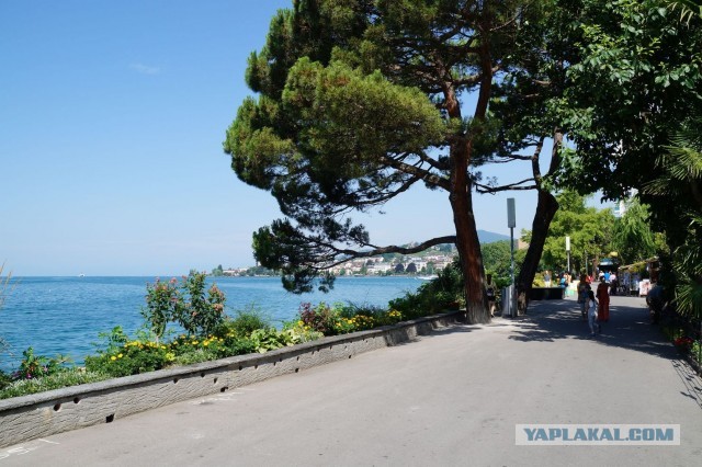 Поездка в Швейцарию