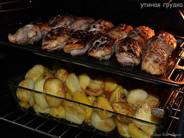 Утиные грудки