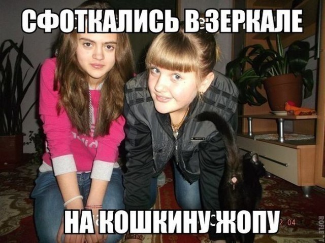 Комментарии из Сети