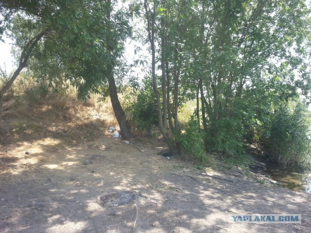 Как провести день, или сказка наяву!