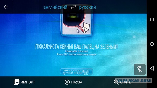 Неисчерпаемый источник хорошего настроения