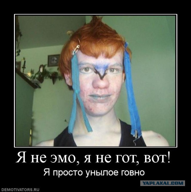 Вестник Соцсетей
