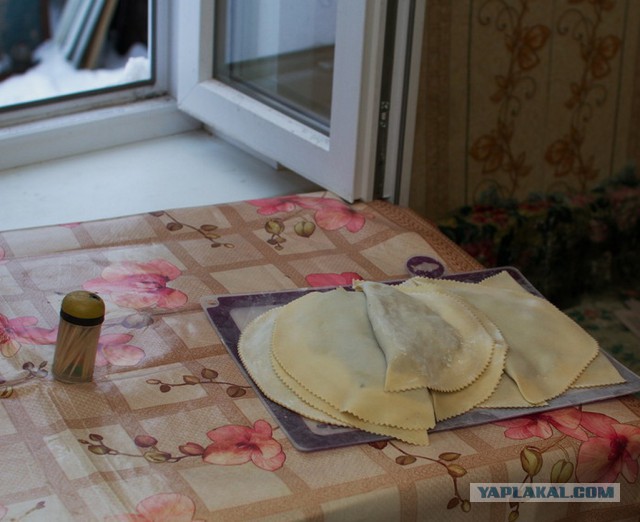Чебуреки от Пчёлы
