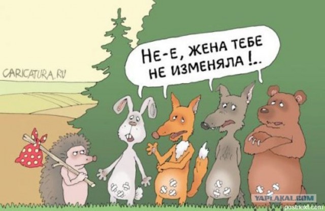Вот незадача...