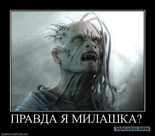 Че я не милашка ?