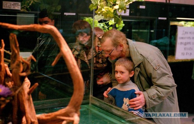 Был крокодильчик и нет крокодильчика.