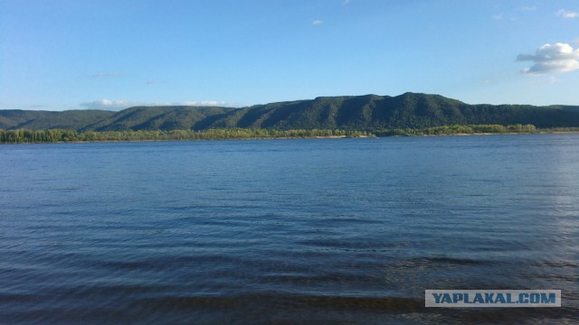 Я узнал, что у меня есть огромная семья