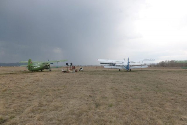 Я узнал, что у меня есть огромная семья