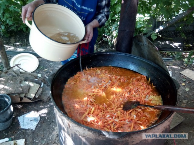 Большой плов (по уйгурски)