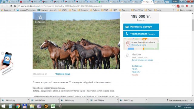 Смешные комментарии из социальных сетей 16.09.2016